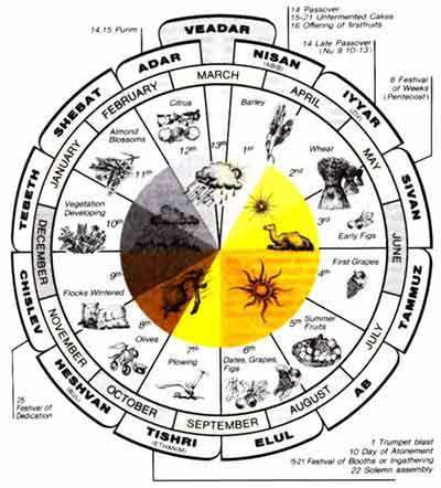 Gregorian, “Western" or “Christian" calendar named for Pope Gregory XIII's revisions to the solar calendar based on a 365-day common year (as Hebrew lunar calendar) divided into 12 months of irregular lengths with an extra – or intercalary – day added on 29 February once in 4 yrs as reform of Julian (Caesar's) calendar, dropping 10 days in October 1582 Biblical Numerology, Bible Infographics, Hebrew Learning, Torah Quotes, Hebrew Calendar, Jewish Feasts, Jewish Calendar, Hebrew Roots, Biblical Hebrew