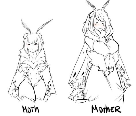 Please dont copy, steal, repost, hate, or heavily be insprired! Cute Moth, Character Sketches, Monster Design, Creature Concept Art, Creature Concept, 영감을 주는 캐릭터, Drawing Base, Creature Art, Art Reference Poses