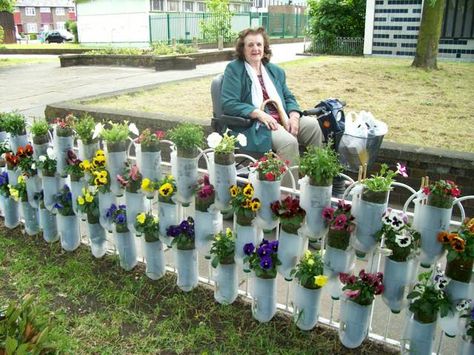 Milk jug garden fence Recycled Garden Projects, Small Space Garden, Space Garden, Recycling Ideas, Recycled Garden, Bottle Garden, Outdoor Crafts, Healthy Garden, Backyard Diy Projects