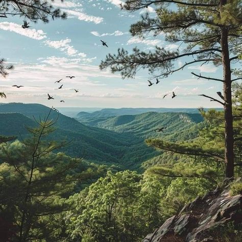 Cumberland Gap National Historical Park in Kentucky. Photo by William Mia. Kentucky Aesthetic, Kentucky Nature, Cumberland Gap, I Love America, My Old Kentucky Home, Romanticizing Life, Mountain View, Book Review, Kentucky