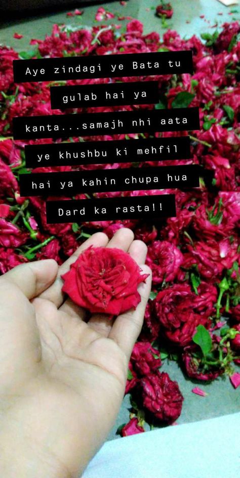 Rose Shayari, Happy Birthday Icons, Shop Name Ideas, Intense Quotes, Sajid Khan, Snap Streaks, Calligraphy Lessons, Secret Love Quotes, Rose Quotes