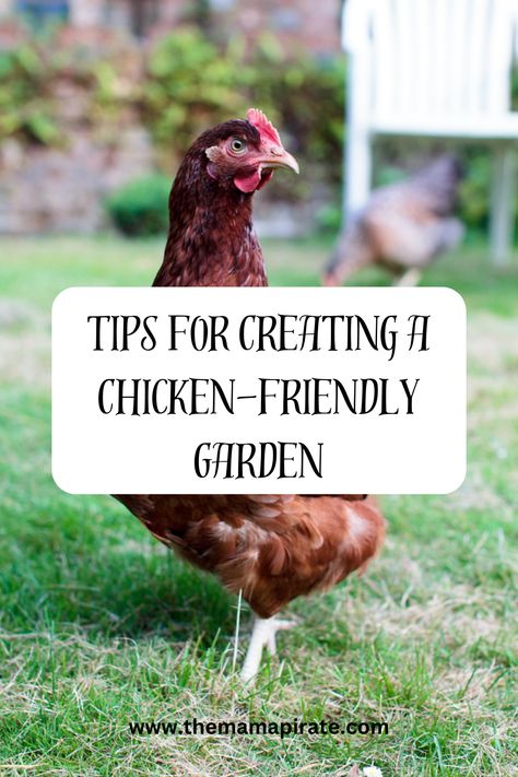 Creating a Chicken-Friendly Garden Chicken Friendly Garden, Garden Tips, Lush Garden, Vegetable Garden, Gardening Tips, Garden Ideas, Lush, Sustainability, Benefits