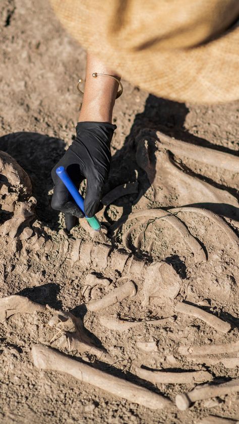 Paleontologist Aesthetic, Archeology Aesthetic, Archaeology Aesthetic, Cool History, Marine Archaeology, Pulp Adventure, Forensic Anthropology, Nature Story, Career Vision Board