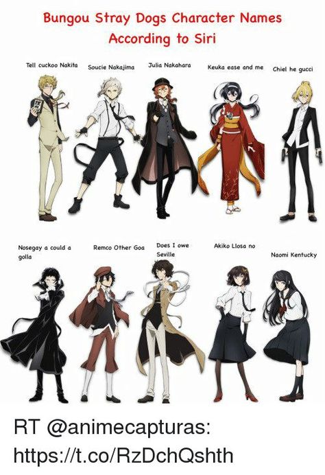 Just some memes about our loveable Bungou Stray Dogs Characters! 5 me… #fanfiction #Fanfiction #amreading #books #wattpad Bungou Stray Dogs Funny, Dogs Funny Videos, Bungou Stray Dogs Characters, Dogs Funny, Anime Memes Funny, Bongou Stray Dogs, Stray Dogs Anime, Yokohama, Dog Memes