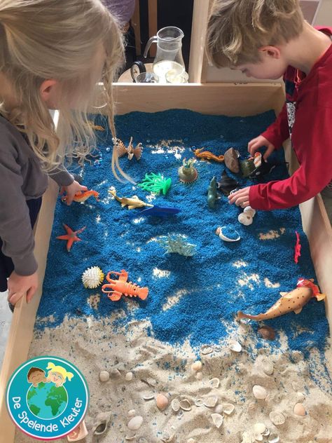 Under The Sea Childcare, Reggio Emilia Ocean Activities, Sea Animal Provocation, Sea Themed Sensory Play, Under The Sea Provocation, Summer Preschool Activities, Sea Activities, Ocean Activities, Sensory Activities Toddlers