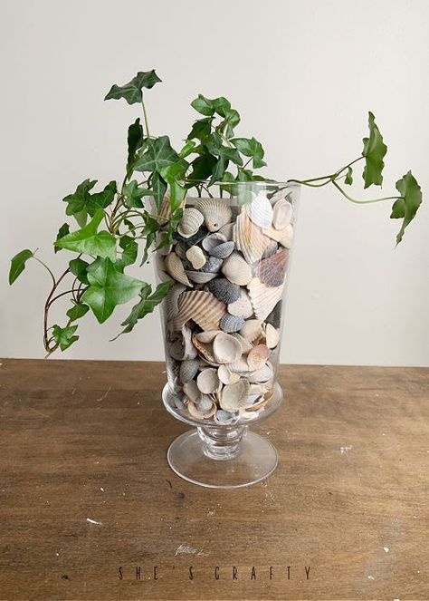 Plants In Seashells, Seashell Vase Centerpiece, Seashell Terrarium, Seashell Centerpieces, Shell Centerpieces, Large Glass Vase, Summer Centerpieces, Buffet Ideas, Coastal Summer