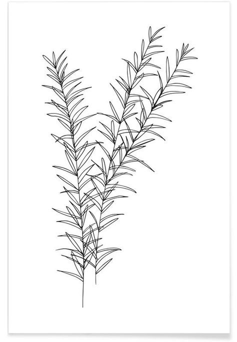 Rosemary Tattoo, Natural Illustration, Minimal Wall Decor, Diy Facial, 자수 디자인, Floral Prints Art, Botanical Drawings, Forearm Tattoo, Botanical Wall Art