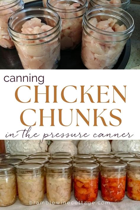 Pressure canning asparagus is an easy way to store this favorite spring vegetable for use all year long. Follow along step by step. Canning Asparagus, Canning Chicken, Can Chicken, Chicken Chunks, Pressure Canner, Canned Goods, Chicken Meat, Pint Jars, Chicken Skin