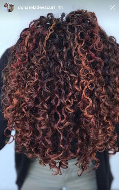 Balayage Auburn, Red Highlights In Brown Hair, Blonde Highlights Curly Hair, Dark Curly Hair, Dyed Curly Hair, Highlights Curly Hair, Brown Curly Hair, Red Curly Hair, Curly Hair Photos