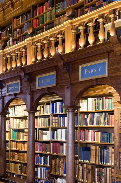 Reading Rooms, Souls Trilogy, Bodleian Library, British Literature, British Architecture, Beautiful Library, Old Library, A Discovery Of Witches, Family Trips