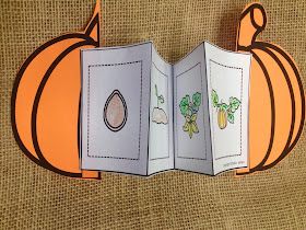 life cycle of a pumpkin craft Life Cycle Crafts For Kids, Plant Life Cycle Foldable, Plant Life Cycle Craft, Pumpkin Life Cycle Craft, Life Cycle Of A Chicken, Pumpkin Art Project, Life Cycle Of A Pumpkin, Life Cycle Craft, Pumpkin Life Cycle