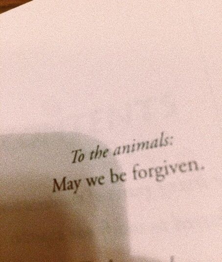 to the animals: may we be forgiven. Vegan Quotes, Vegan Life, The Animals, What’s Going On, Going Vegan, Pretty Words, The Words, Beautiful Words, Inspire Me