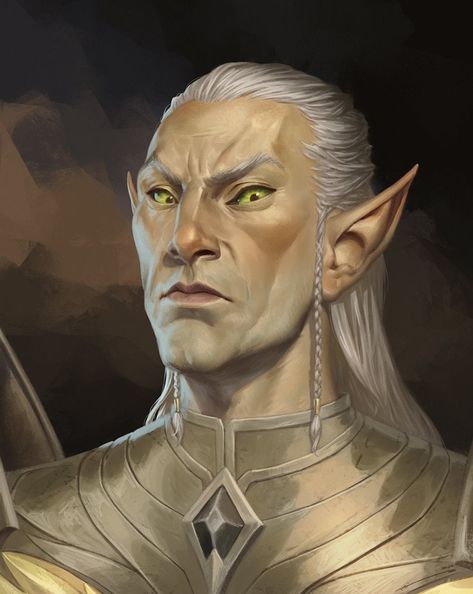 Skyrim Special Edition Mods, Elder Scrolls Art, Elves Fantasy, Dragon Rpg, High Elf, Paintings And Drawings, The Elder Scrolls, Fantasy Races, Dungeons And Dragons Characters