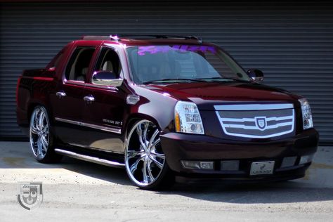 Cadillac Escalade EXT Luxury Pickup Truck Restyled by Lexani Escalade Car, White Suv, Custom Truck, Chevy Avalanche, Escalade Ext, Suv Trucks, Cars 2, Gmc Trucks, Luxury Suv