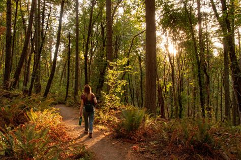 Nature Parks, Oregon State Parks, North Cascades National Park, Horseback Rider, Downtown Portland, Oregon City, Nature And Wildlife, Forest Trail, River Trail