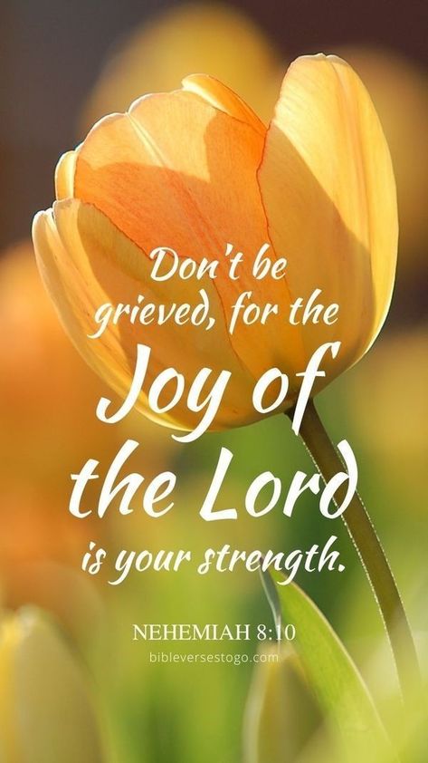 Nehemiah 8:10 NIV "Do not grieve for the joy of the Lord is your strength." The Joy Of The Lord, Bible Verse Background, Wallpaper Iphonewallpaper, Bible Quotes Images, Awesome God, Scripture Pictures, Joy Of The Lord, Encouraging Bible Verses, Health Nut