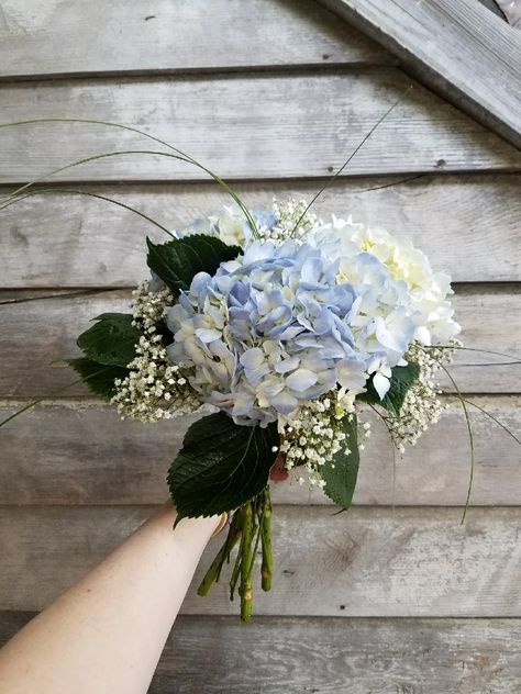 Blue hydrangea with baby's breath and beach grass wedding bouquet Babys Breath And Hydrangeas, Dusty Blue Hydrangea Bouquet, Babysbreath Hydrangea Bouquet, Small Blue Wedding Bouquet, Simple Hydrangea Bouquet, Blue Hydrangea Bridesmaid Bouquet, Hydrangea Baby Breath Bouquet, Hydrangea Boutineer, Small Blue Bouquet