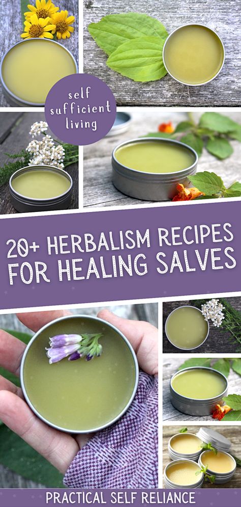 Explore the world of herbalism with this comprehensive collection of over 20 healing salve recipes. Each recipe uses various herbs for health, bringing together a wide range of natural remedies. Perfect for beginners to herbalism or those looking to expand their understanding of herbal medicine. Homemade Salve Recipes, Homemade Healing Salve, Herbal Salve Recipes, Witches Apothecary, Healing Salve Recipe, Homemade Salve, Healing Salve, Salve Recipes, Herbal Salves