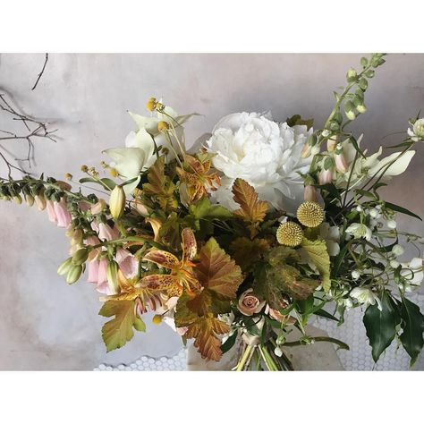 514 Likes, 11 Comments - SAIPUA WEDDINGS (@saipuaweddings) on Instagram: “This morning's city hall bouquet with farm flowers from Worlds End; that physocarpus 'coppertina'…” Worlds End, Farm Flowers, Antique Peach Lisianthus, Me Right Now, Autumn Weddings, End Of The World, Flower Farm, City Hall, Peonies