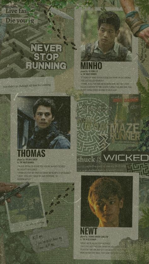 the maze runner wallpaper #tmr #themazerunner #thomas #newt #minho #aesthetic #green #themazerunneraesthetic idk how to find it 🫠 Alby Maze Runner, The Maze Runner Wallpaper, Thomas Newt Minho, Maze Runner Wallpaper, Minho Aesthetic, Runner Wallpaper, Runner Humor, Maze Runner Thomas, Maze Runner Trilogy