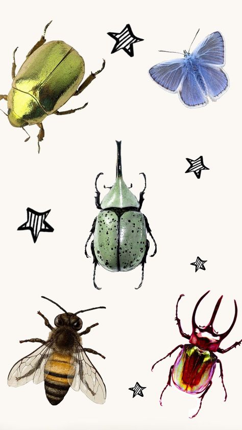 Pinned Bugs Aesthetic, Bugs Aesthetics, Insects Wallpaper, Bug Aesthetic, Bugs Illustration, Bugs Collection, Cartoon Insects, Bug Png, Instagram Scrapbook