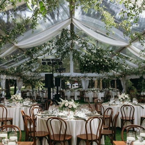 💗💗 Wedding season is almost here and we are ready for the celebrations! Contact us today and let us help with your special day! https://ntaco.com/contact-us/ #ntaco #smallbusiness #nashvillebusiness #celebration #weddingseason Tent Wedding Fall, Tent Wedding Decorations, Outdoor Gazebo Wedding, Garden Wedding Tent, Wedding Outdoor Decoration, Jackie Taylor, Outdoor Tent Wedding, Dream Wedding Decorations, Cottage Wedding