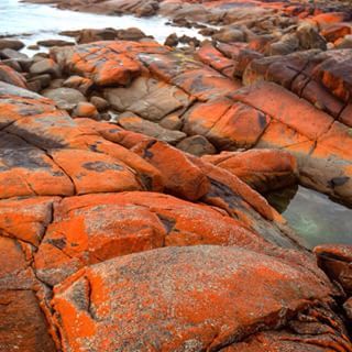 Orange Rocks, Orange Stones Crystals, Dj Ideas, Interesting Rock Formations, Volcanic Rock, Red Rocks, Red Rock, Tasmania, Dracula