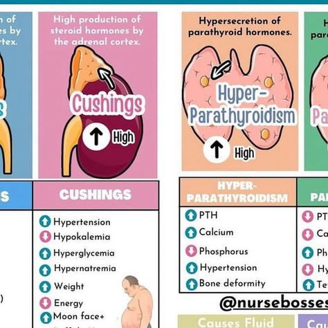 Dr. Nurse Vicky (Fiskvik Antwi) on Instagram: "Signs and symptoms that you need to know for these major endocrine disorders. Save this post future nurses. . . . . #nclexpn #nclexrn #nclexstudying #nclexprep #nclexreview #nclextips #nclexhelp #nurseintraining #futurern #futurerns #futurernbsn #futurenurse💉 #futurenursepractitioner #nurseinprogess #studynursing #nursepractitionerstudent #nursingstudent #nurseschool #lpnstudent #lpns #nursestudents #nursingschool #nclex #rn #rnstudent #nurse #futurenurses #futurenurse #nurses" Endocrine Disorders Cheat Sheet, Hypernatremia Nursing, Endocrine Nursing, Lpn Student, Nurse Practitioner Student, Adrenal Cortex, Nurse Study, Nclex Pn, Nclex Review