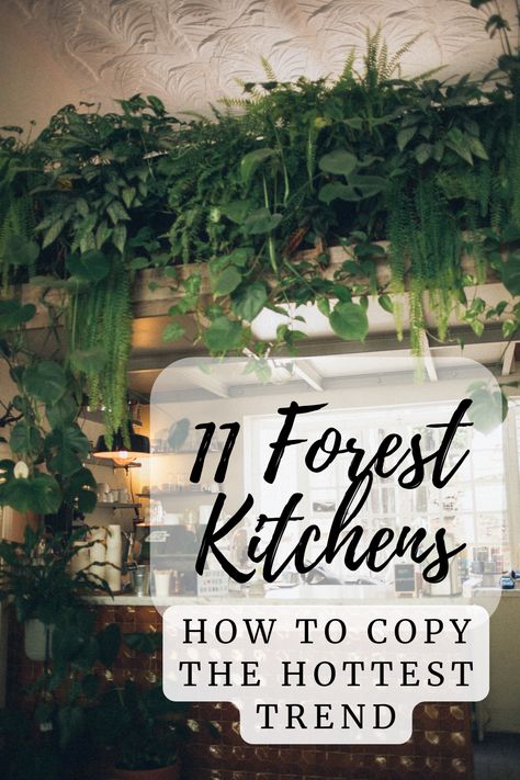 a forest kitchen with a wall of green plants above a window Green Vintage Kitchen Aesthetic, Dark Boho Kitchen Decor, Green Dark Kitchen, Nature Kitchen Decor, Kitchen Ideas Moody, Dark Green Cottage Kitchen, Green Forest Kitchen, Eclectic Kitchen Green, Garden Theme Kitchen