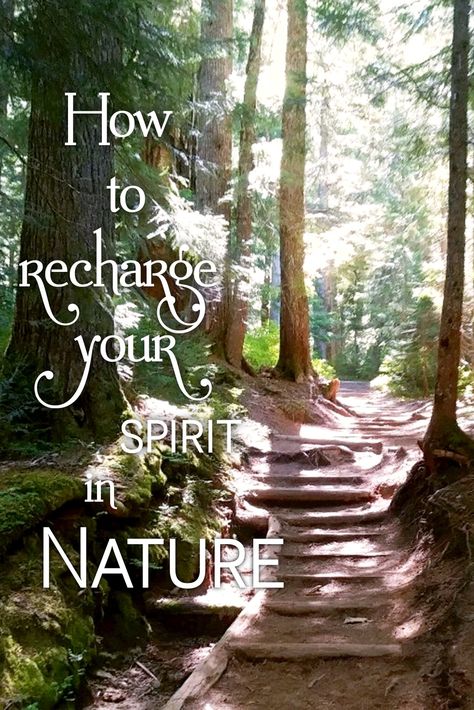 Nature Worship, Medicine Quotes, Goddess Names, Mother Earth Living, Natural Air Purifier, Green Witchcraft, Earth Mama, Forest Bathing, Divine Nature