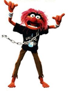 A fun costume idea... Animal Muppets, Muppets Animal, Animal Muppet, Electric Mayhem, Muppets Most Wanted, Sesame Street Characters, Fraggle Rock, Muppet Babies, Dumpster Fire