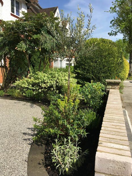 Driveway Border Winchmore Hill - PLANTING GEMS Driveway Planting, Victorian Front Garden, Driveway Border, Designing A Garden, Garden From Scratch, Flower Bed Borders, Garden Landscaping Diy, Plants Uk, Raised Flower Beds