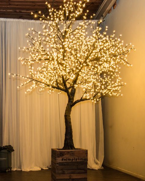 A warm white LED Cherry tree setup at a fake wedding in Atlanta, GA. There was definitely a line of selfie-takers in front of the tree. Plan Dressing, Outdoor Tree Lighting, Artificial Cherry Blossom Tree, Fairy Lights In Trees, Tree Branch Decor, Dry Tree, Simple Dressing, Light Up Tree, Outdoor Trees