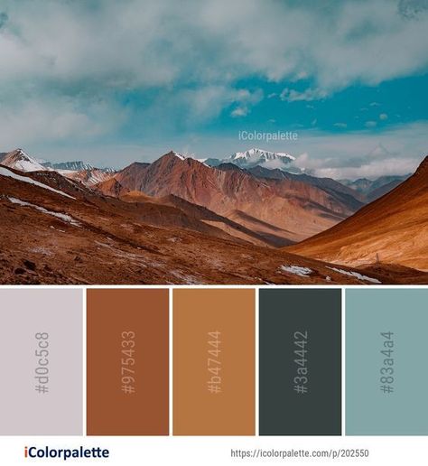 Color Palette Theme, Sky Images, Desert Colors, Color Schemes Colour Palettes, Color Palette Ideas, Palette Ideas, Brand Color Palette, Design Seeds, Brown And Blue