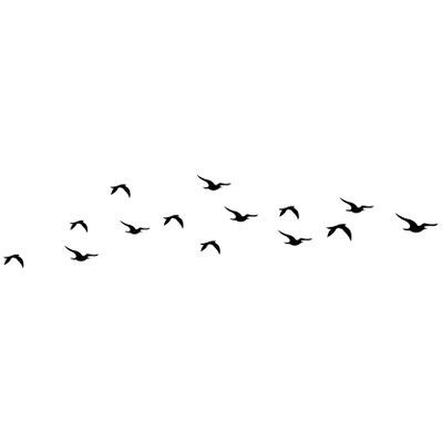 Clouds Png For Editing, Photo Editing Material Png, Birds Png For Editing, Bird Png Logo, Birds Flying Png, Birds Background, Birds Stickers, Birds Png, Flying Bird Silhouette