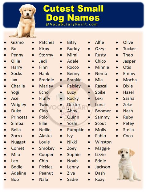 Finding the perfect name for your new pup can be a difficult task, but it’s important to find one that suits their personality and reflects ... Read more The post 200+ Cutest Small Dog Names appeared first on Vocabulary Point. Small Dog Names Boys, Dog Names Female, White Dog Names, Aesthetic Dog Names, Dachshund Names, Small Dog Names, Sims Names, Cute Puppy Names, Dog Names Unique