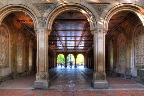 Pale Male, Loeb Boathouse, Bethesda Terrace, I Love Ny, House Boat, Central Park, Gossip Girl, A Walk, New Photo