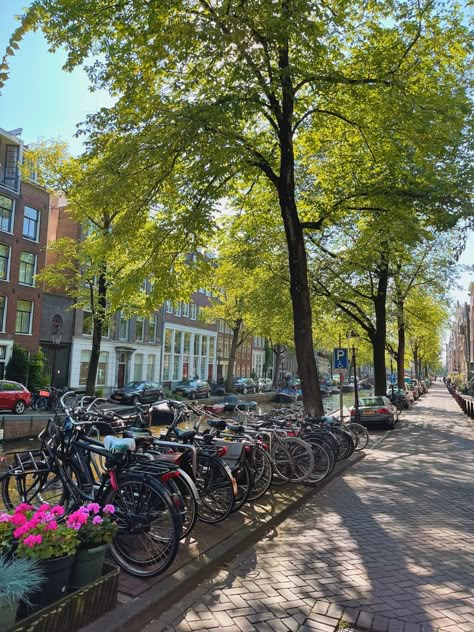 Netherlands Bike Aesthetic, Romantic Dancing, Netherlands Aesthetic, Euro Tour, Amsterdam Aesthetic, Sunny Aesthetic, Amsterdam Bike, Amsterdam Photography, Summer Bike