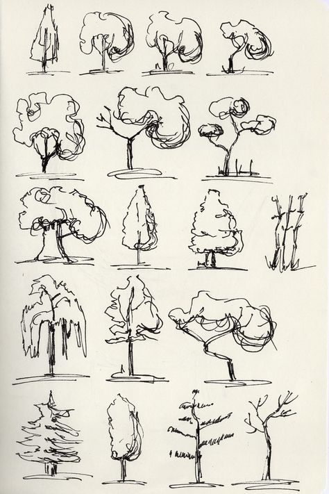 Bush Drawing Tutorial, Tree Doodle Drawing, 2d Tree Design, Starting To Draw, Trees Drawing Reference, Learn How To Sketch, Tips For Sketching, How To Sketch A Tree, How To Sketch For Beginners