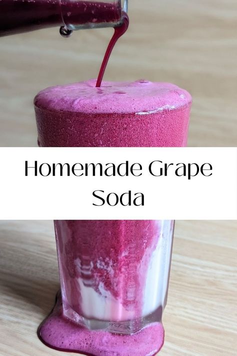 Grape Juice Recipe, Concord Grapes, Grape Harvest, Grape Uses, Grape Recipes, Healthy Probiotics, Fermentation Recipes, Soda Recipe, Fermented Vegetables