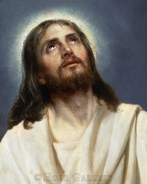 Jesus Our Savior, Life Of Christ, Religious Pictures, Lds Art, Jesus Christ Art, Pictures Of Jesus Christ, Jesus Face, In Christ Alone, Jesus Christ Images