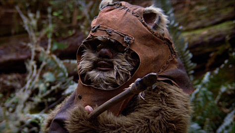 Wicket the ewok Ewoks Star Wars, Wicket Ewok, Ewok Costume, Star Wars Ewok, Star Wars Halloween, Star Wars Facts, Episode Vii, Star Wars Film, Star Wars Poster