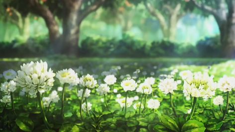 Sama Ayang, Book Cover Background, Gacha Backgrounds, Anime Flower, Oc Aesthetic, Fantasy Background, Forest Background, Scenery Background, Gacha Edits