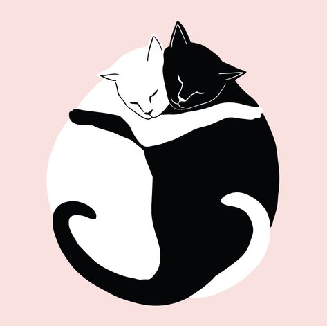 Black and White illustration, pink background, two cats hugging. A2 folded notecard. Art by Cait Maud #cats #hug #bestfriends #love Cat Love Illustration, 2 Cats Illustration, Winter Dog Illustration, Two Cats Illustration, Cats Hugging Drawing, Drawing Hugging, Two Cats Tattoo, Cats Valentines Day, Cats Hugging