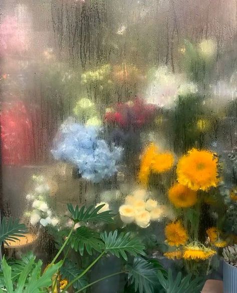 may on X: "Flower shops on a rainy day https://t.co/by2aub3YGD" / X Become A Florist, Rainy Window, Blur Photography, Cute Twitter Headers, Ghibli Artwork, Stargazer Lily, Flower Shops, House In Nature, Aesthetic Fonts