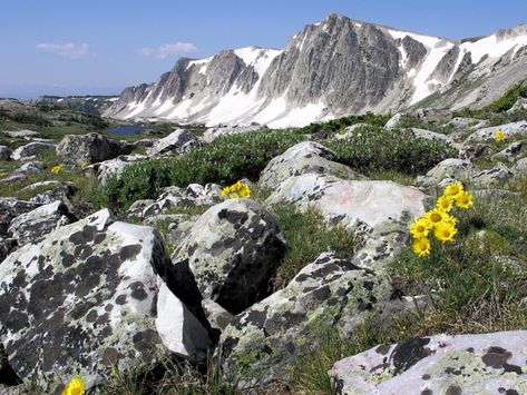 Brochure Snowy Range Scenic Byway | Laramie, That's Wyoming. History & Adventure. Snowy Range Wyoming, Laramie Wyoming, Wyoming Travel, Rv Parks And Campgrounds, Dude Ranch, Mountain Bike Trails, Scenic Byway, Snowy Mountains, Road Trip Itinerary