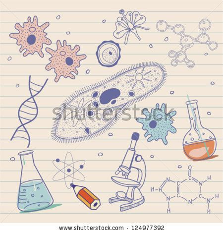 Biology Sketches, Sketches Background, Biology Drawing, Ilmu Ekonomi, Sketch Background, Science Background, Cell Biology, 5 Anime, Biochemistry