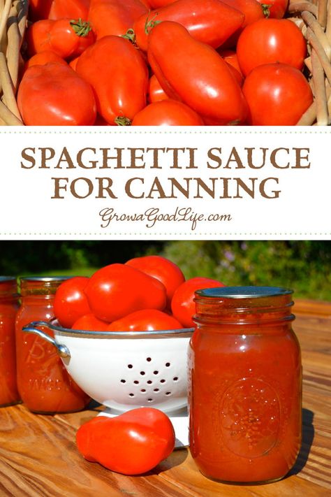 Pressure Canning Tomato Sauce Recipes, Ball Tomato Sauce Canning Recipe, Roasted Pasta Sauce For Canning, Canning Homemade Spaghetti Sauce With Fresh Tomatoes, Large Batch Spaghetti Sauce For Canning, Home Made Pasta Sauce With Fresh Tomatoes, Spaghetti Sauce From Fresh Tomatoes Canning, Ball Canning Recipes Tomatoes, Home Canned Spaghetti Sauce