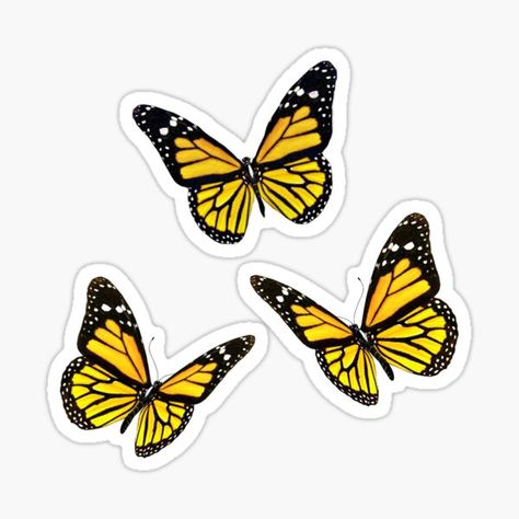 Aesthetic yellow butterfly sticker pack • Millions of unique designs by independent artists. Find your thing. Yellow Butterfly, Monarch Butterfly, Sticker Pack, Butterflies, Orange, Yellow, For Sale, White