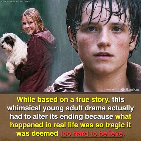 'Bridge to Terabithia' Is Based On A True Story, And It's Even Sadder Than The Book And Movie Jess And Leslie Bridge To Terabithia, Bridge To Terabithia Fanart, Un Ponte Per Terabithia, Bridge To Terribithia, Bridge To Terabithia Quotes, Bride To Terabithia, Bridge Of Terabithia, Bridge To Terabithia Aesthetic, A Bridge To Terabithia